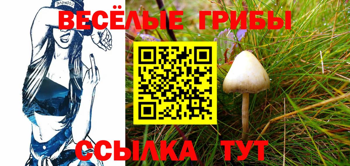Скопин  Псилоцибиновые грибы мухоморы  Вход с VPN 