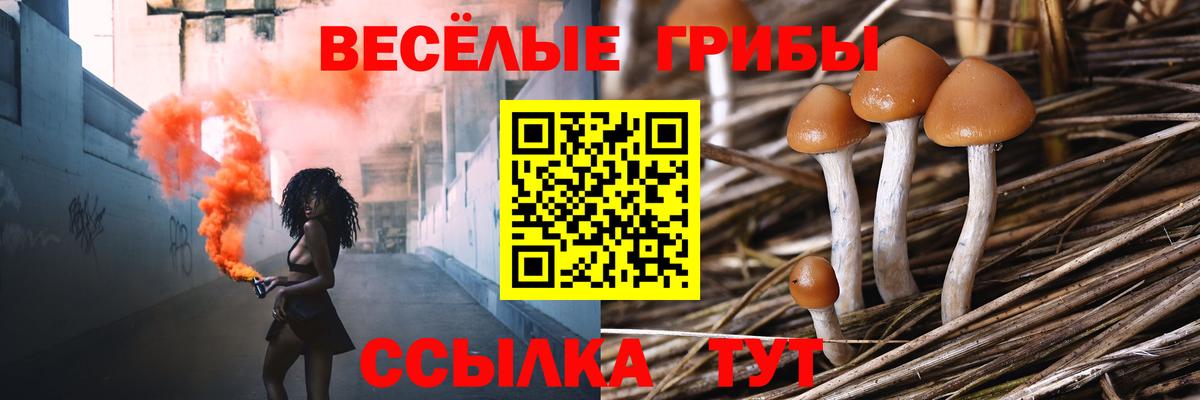 Галлюциногенные грибы Magic Shrooms Скопин